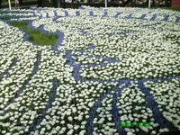 PICT0052.webp