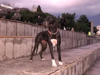 P1120539.webp