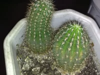 050120102328.webp