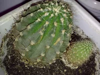 050120102329.webp