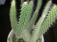 050120102331.webp