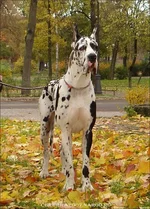6bb92998da63.webp