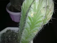 050120102333.webp