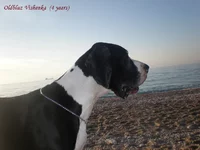 P1020460 копия копия.webp