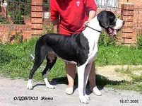 20_195[1].webp
