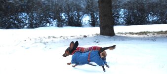 DSC_0025.jpg