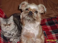 (копия).webp