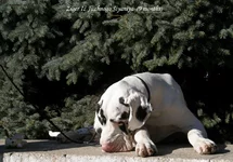  262 копия.webp