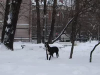17.webp