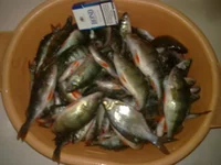 060120101666.webp