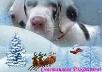 6-ru-04903c80ae22acbfb5d75874ac95d763[1] копия.webp