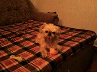 Photo-0027.webp