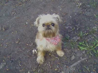 Photo-0006.webp