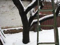 IMG_6495 (Large).webp