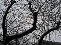 IMG_6496 (Large).webp
