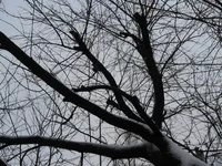 IMG_6497 (Large).webp