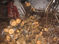 IMG_6503 (Large).webp
