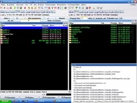 vvvv.webp