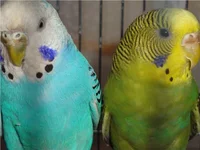 e7f1affa18d6.webp