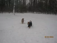 IMG_0381.webp