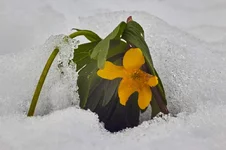 IMG_1071_20-04-17.webp