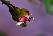DSC_0075.webp