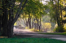 DSC_1878.webp