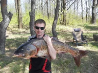 DSCN8176.webp