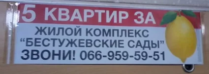 bsad.webp