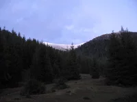 IMG_8331.jpg