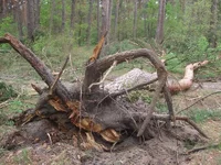 DSCF5304.JPG