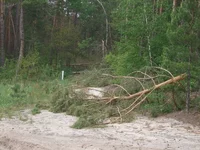DSCF5305.JPG