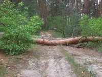 DSCF5317.JPG