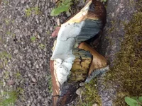 20170514_134445.jpg