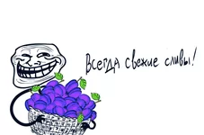 .webp