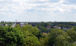 DSC_5515.jpg