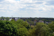 DSC_5516.jpg