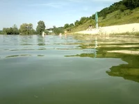 4tEtzjZ46NA.webp