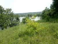 25DFDfSFNHo.webp