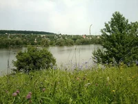 c8HEQvYu8As.webp