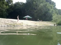 F4q8tmy9tX0.webp