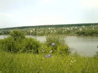 HMxCZuZ5lNM.webp