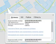1.webp