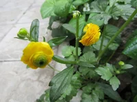 IMG_6021.webp
