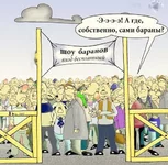 original.webp
