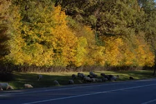 DSC_0029.webp