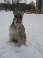 P1060017_новый размер.webp