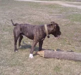 090425_123801.webp
