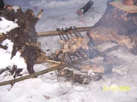 100_6487.webp