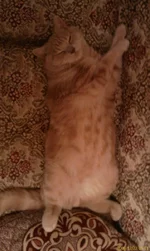 20091222_011.webp